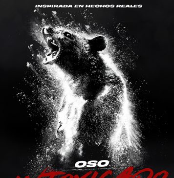 Oso intoxicado