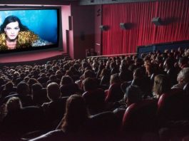 Festival de Cine de Mar del Plata: Todos los ganadores Festival de Cine de Mar del Plata