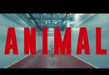 Animal