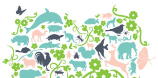 Green Film Fest celebra sus 10 años Green Film Fest