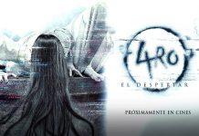 El aro 4: El despertar