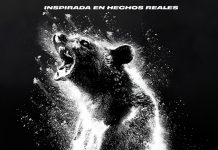 Oso intoxicado Oso intoxicado