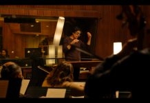 Maestro (s) Maestros (s)