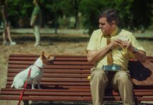 Una película de vacaciones de invierno El novio de mamá